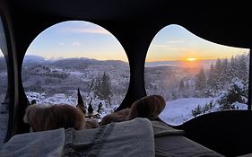 Birdbox Bergen
